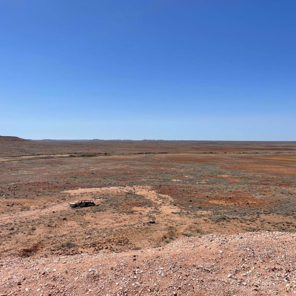 Potatoes and tomcats