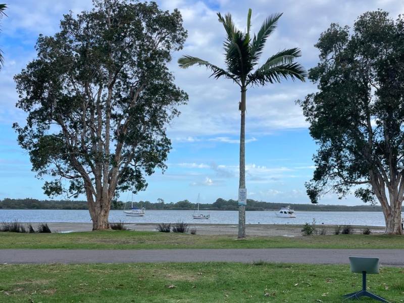 Popping up at Koala&nbsp;Shores